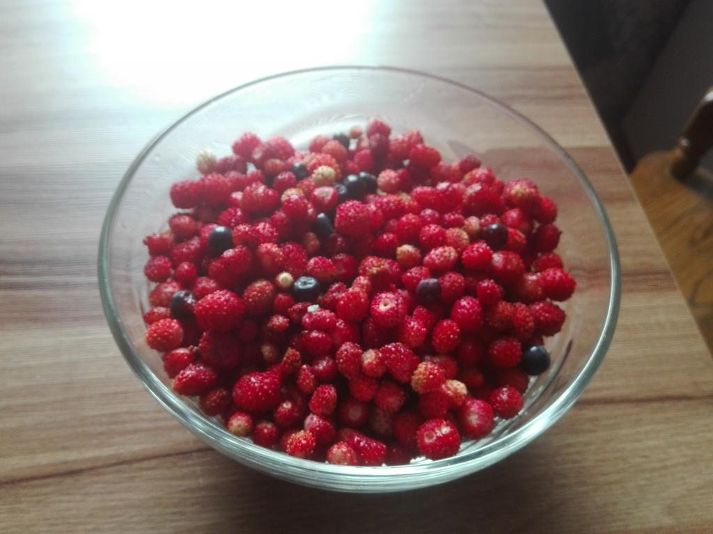 Agro-Tur Domki W Szuwarach Kuty Екстериор снимка